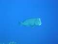dsc00108.jpg