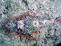 dsc00155.jpg