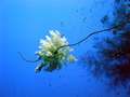dsc00177.jpg