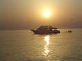dsc00226.jpg