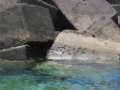 17473-IMG_2004-06-08_14-08-18_L.jpg