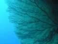 24265-IMG_2004-10-13_16-06-08_OV.jpg