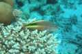 img_2005-09-25_07-40_00.jpg