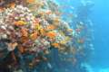 img_2005-09-25_11-55_00.jpg