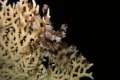 img_2005-09-27_19-53_00.jpg