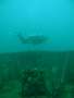 diving-010.jpg