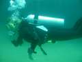 diving-014.jpg
