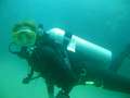 diving-015.jpg