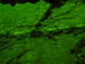 pPC045726.jpg