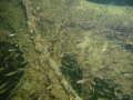 pPC045731.jpg