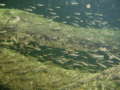 pPC045732.jpg