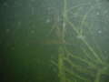 pPC045734.jpg